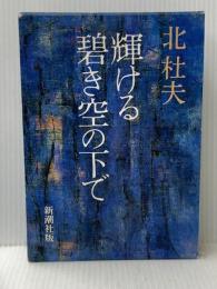 輝ける碧き空の下で (1982年)