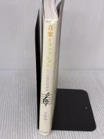 【※イタミ有り】音楽とファッション 6つの現代的視点 (リットーミュージック) リットーミュージック 青野 賢一