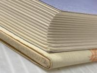 この子らは世の光なり: 親と子と教師のための生きることを考える本 星雲社 伊藤 隆二