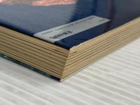 エベレストに消えた息子よ: 加藤保男栄光と悲劇の生涯 (山溪ノンフィクション・ブックス) 山と溪谷社 加藤 ハナ