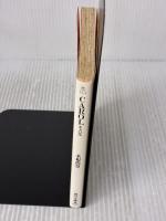 【※イタミ有り】キャロル (角川文庫 き 13-1) KADOKAWA 木根 尚登