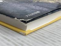 よみがえった黒こげのイチョウ: 命を守り震災や戦災を伝える樹木 (ノンフィクション・ワールド) 大日本図書 唐沢 孝一