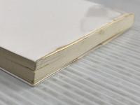 英語の歴史: 過去から未来への物語 (中公新書 1971) 中央公論新社 寺澤 盾