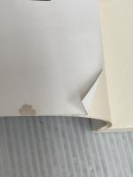 英語の歴史: 過去から未来への物語 (中公新書 1971) 中央公論新社 寺澤 盾