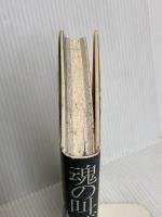 魂の叫び: J2聖戦記 幻冬舎 金子 達仁