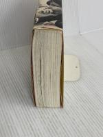 ボサノヴァの歴史 音楽之友社 ルイ カストロ