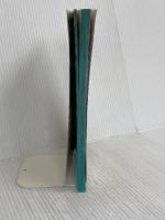 シルクロード〈’91~’92版〉 (地球の歩き方―中国) ダイヤモンド・ビッグ社