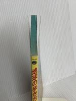 シルクロード〈’91~’92版〉 (地球の歩き方―中国) ダイヤモンド・ビッグ社