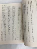 ピラミッドからのぞく目 下 (2) (集英社文庫 シ 14-2 イルミナティ 1) 集英社 ロバート・A・ウィルスン