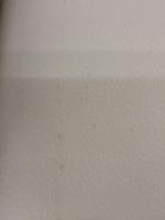 すばらしいさよなら 思潮社 友部 正人