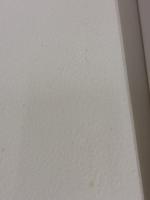 夜中の鳩 思潮社 友部 正人