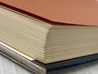 ※イタミ有 森の家の巫女高群逸枝 新潮社 西川祐子