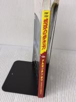 【※イタミ有り】B22 地球の歩き方 アルゼンチン/チリ 2008~2009 ダイヤモンド社 地球の歩き方編集室