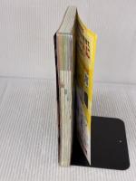 【※イタミ有り】B22 地球の歩き方 アルゼンチン/チリ 2008~2009 ダイヤモンド社 地球の歩き方編集室