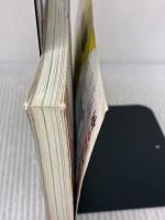 【※イタミ有り】B22 地球の歩き方 アルゼンチン/チリ 2008~2009 ダイヤモンド社 地球の歩き方編集室