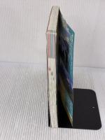 地球の歩き方 ガイドブック B22 アルゼンチン/チリ ダイヤモンド社