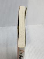 会計のルールはこの3つしかない (新書y 191) 洋泉社 松本 武洋