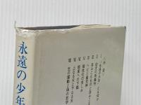 永遠の少年: 『星の王子さま』の深層 紀伊國屋書店 M.L.フォン フランツ