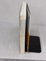 Microsoft Power BI入門 BI使いになる! Excel脳からの脱却 翔泳社 清水 優吾