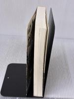 【※イタミ有り】釣り坊主がゆく 山と溪谷社 ひぐち 日誠