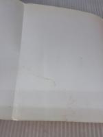 【※イタミ有り】ホワイトホ-ル・イン・タイム: 進化の意味と人間の未来 地湧社 ピーター ラッセル