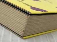 梨元勝レポーター入門―すみません恐縮です (1982年) (Sanrio girl′s books)