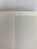 目の見えない人は世界をどう見ているのか (光文社新書) 光文社 伊藤亜紗