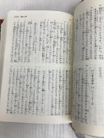 新約聖書 A6判 サンパウロ