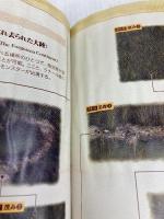 ファイナルファンタジーIX アルティマニア デジキューブ スタジオベントスタッフ