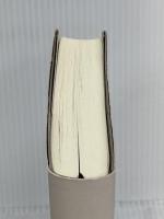 御子を抱く 河出書房新社 石持 浅海