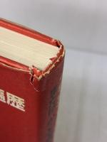 【※イタミ有り】スズキさんの休息と遍歴またはかくも誇らかなるドーシーボーの騎 新潮社 矢作 俊彦