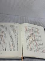 【※カバー無し・書き込み有り】（旧版）ヨハネ福音書講義 春秋社 ルドルフ シュタイナー