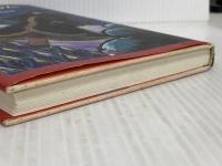 ゴースト・ドラム: 北の魔法の物語 (ベスト・チョイス) ベネッセコーポレーション スーザン・プライス