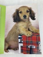 小犬のパーティー 二見書房  二見書房