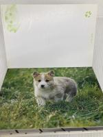 小犬のパーティー 二見書房  二見書房