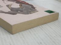 漂泊戦士 (講談社文庫 も 17-4 五月香ロケーション PART2) 講談社 森 雅裕