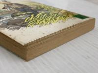 【難あり】釣りキチ旅日記 (講談社文庫 や 23-1) 講談社 矢口 高雄