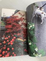 思えば、孤独は美しい。 株式会社ほぼ日 糸井重里