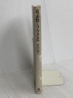 複素数とフラクタル 東京図書 芹沢 浩