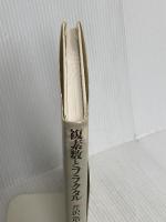 複素数とフラクタル 東京図書 芹沢 浩