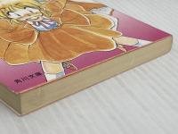 聖(セント)エルザクルセイダーズ〈4〉乱入! (角川文庫―スニーカー文庫) KADOKAWA 松枝 蔵人