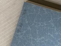 東京騎士団 徳間書店 大沢 在昌
