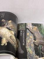 南の島を旅する―沖縄自然フィールドガイド (子どもとはじめる自然「冒険」図鑑 10) 岩波書店 花井 正光