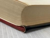 タワーリング・インフェルノ (ハヤカワ文庫NV) 早川書房 F.M.ロビンスン