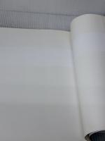 スチームフード 柴田書店 長尾 智子