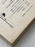 近代の奈落 (幻冬舎アウトロー文庫 O 30-10) 幻冬舎 宮崎 学