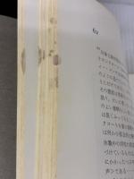 【※カバー無し】絵で学ぶドイツ文学の思潮 (1979年)