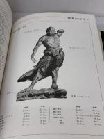 金剛力士 (魅惑の仏像) 毎日新聞社
