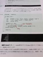 【※イタミ有り】C言語文字列操作+ファイル入出力完全制覇 (標準プログラマーズライブラリ)