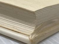 洪水はわが魂に及び (1973年)